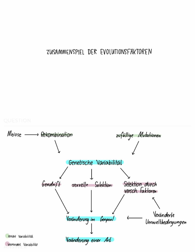 QUESTION
BIOLOGISCHER ARTBEGRIFF
Eine Art ist eine Gruppe von Lebewesen, die sich in der Natur
miteinander kreuzen und lebensfähige + frucht