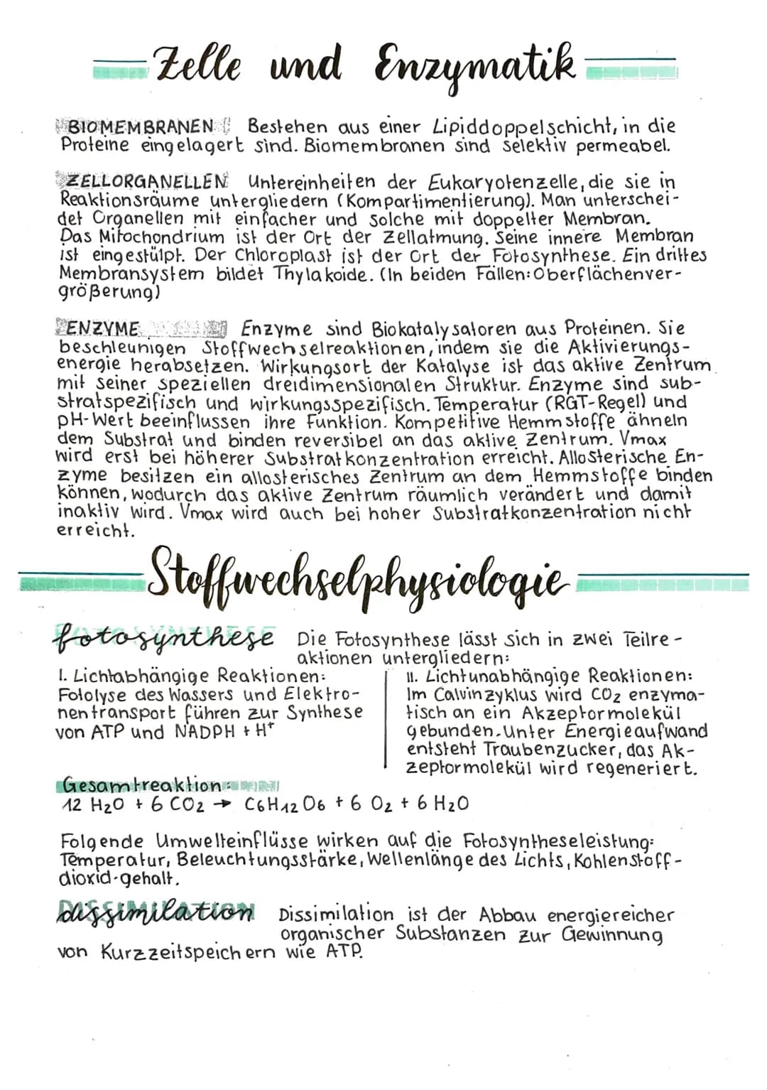 -Zelle und Enzymatik
BIOMEMBRANEN Bestehen aus einer Lipiddoppelschicht, in die
Proteine eingelagert sind. Biomembranen sind selektiv permea