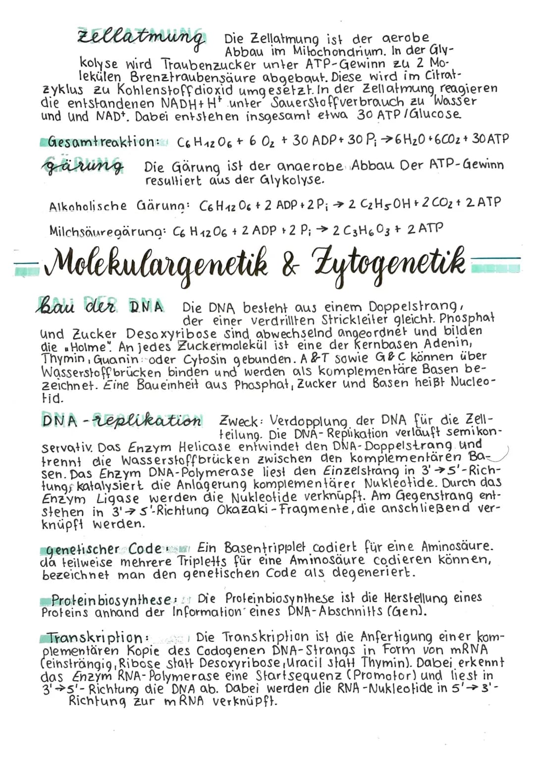-Zelle und Enzymatik
BIOMEMBRANEN Bestehen aus einer Lipiddoppelschicht, in die
Proteine eingelagert sind. Biomembranen sind selektiv permea