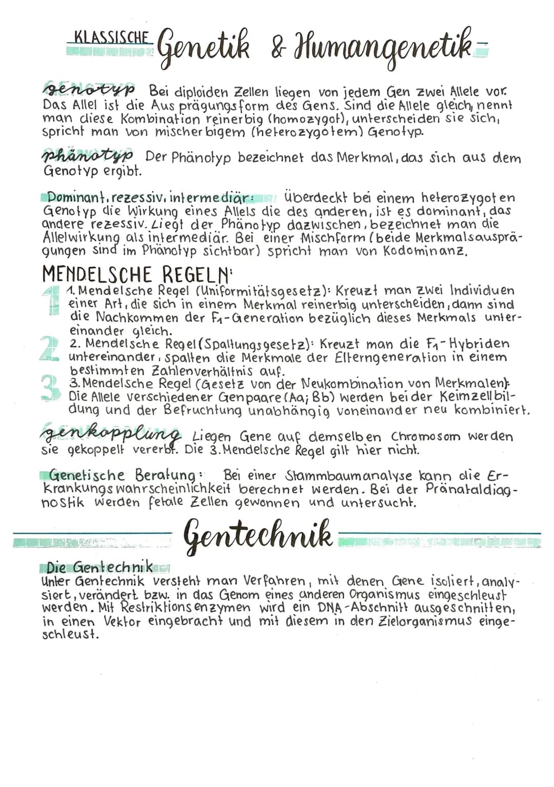 -Zelle und Enzymatik
BIOMEMBRANEN Bestehen aus einer Lipiddoppelschicht, in die
Proteine eingelagert sind. Biomembranen sind selektiv permea