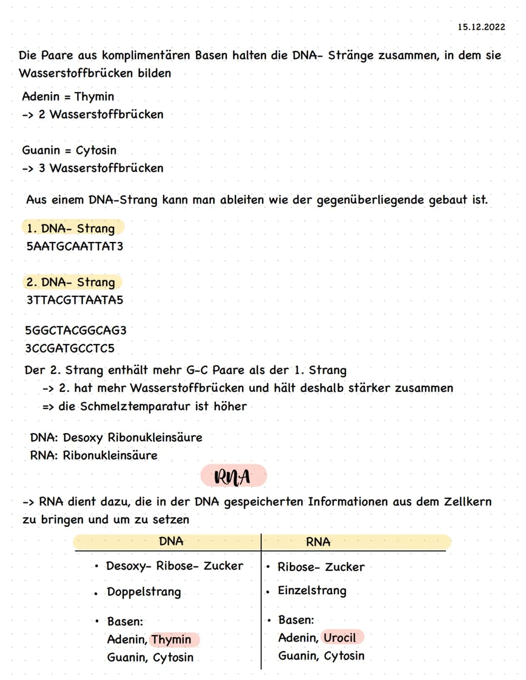 Phosphorsäure
Desoxyribos
A - Adenin
C - Cytosin
G - Guanin
T - Thymin
Feinbau der DNA
-> Die Basen
halten die
Stränge mit
Wasserstoff
Brück