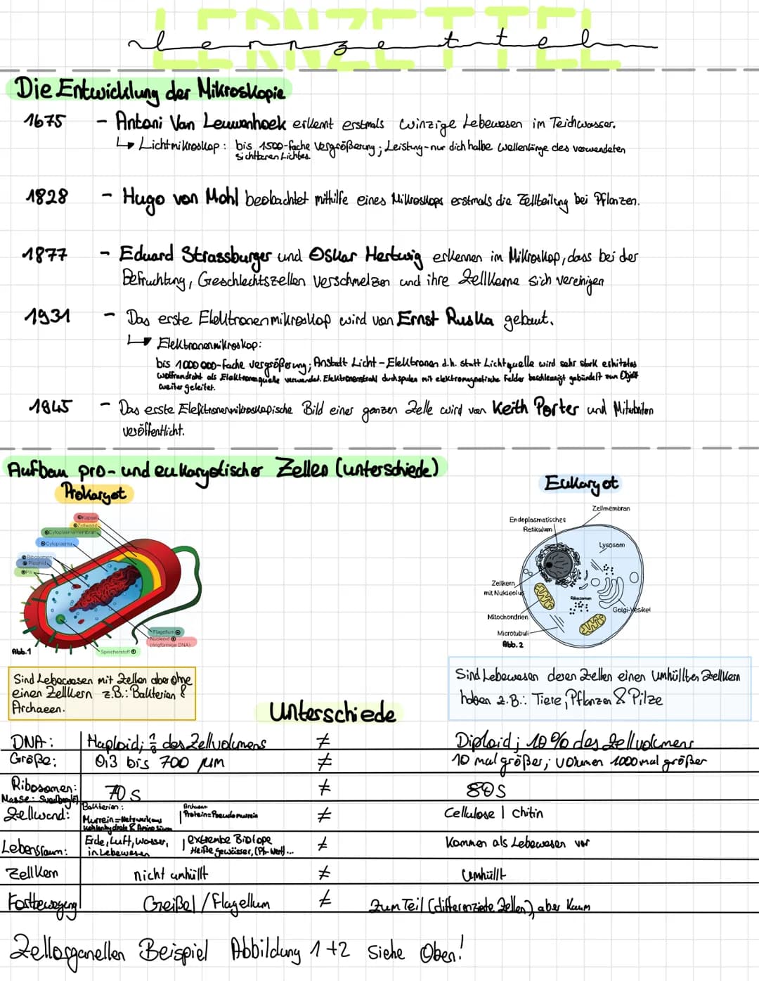 Die Entwicklung der Mikroskopie
1675
1828
1877
1931
Abb.1
-
DNA:
Größe:
- Hugo
-
Antoni Van Leuwenhoek erkennt erstmals winzige Lebewesen im