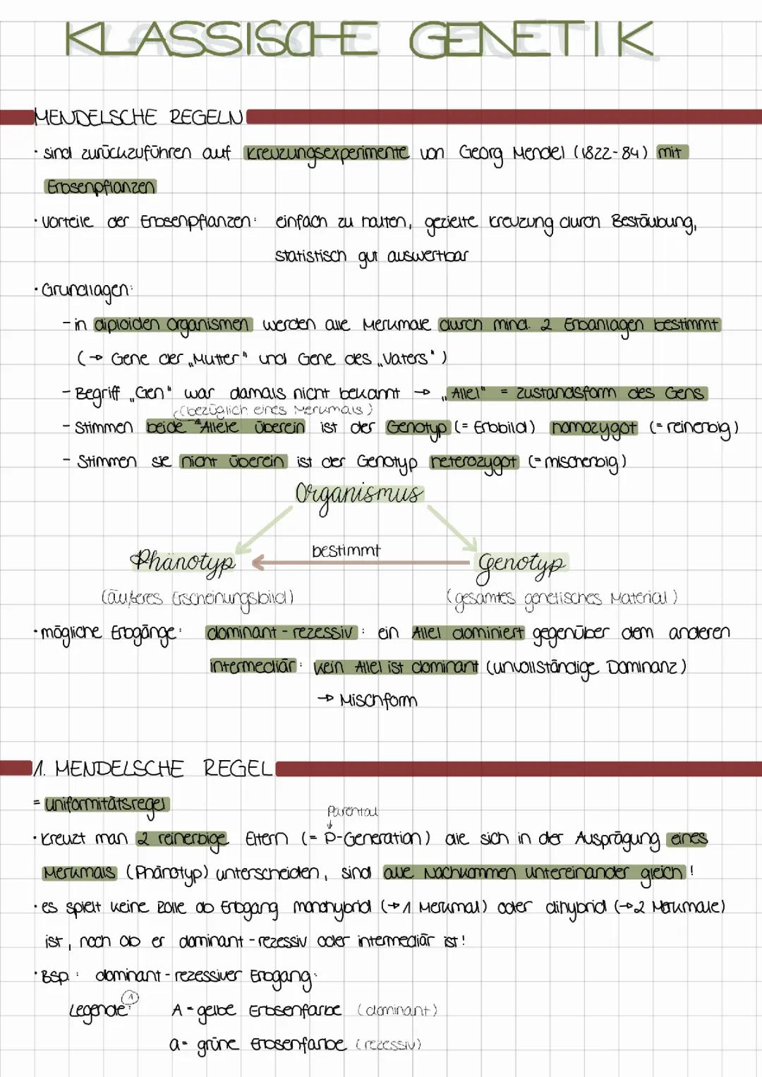 Klassische Genetik Zusammenfassung: Mendelsche Regeln und Genetische Vererbung einfach erklärt