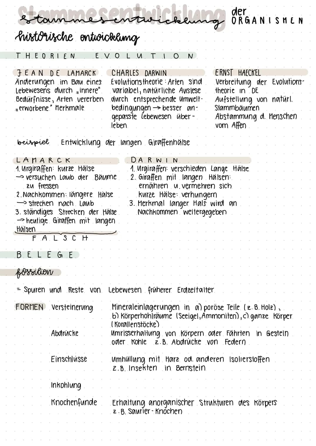 Stammesentwicklung der
historische entwickling
THEORIEN
JEAN DE LAMARCK
Änderungen im Bau eines
Lebewesens durch innere".
Bedürfnisse, Arten