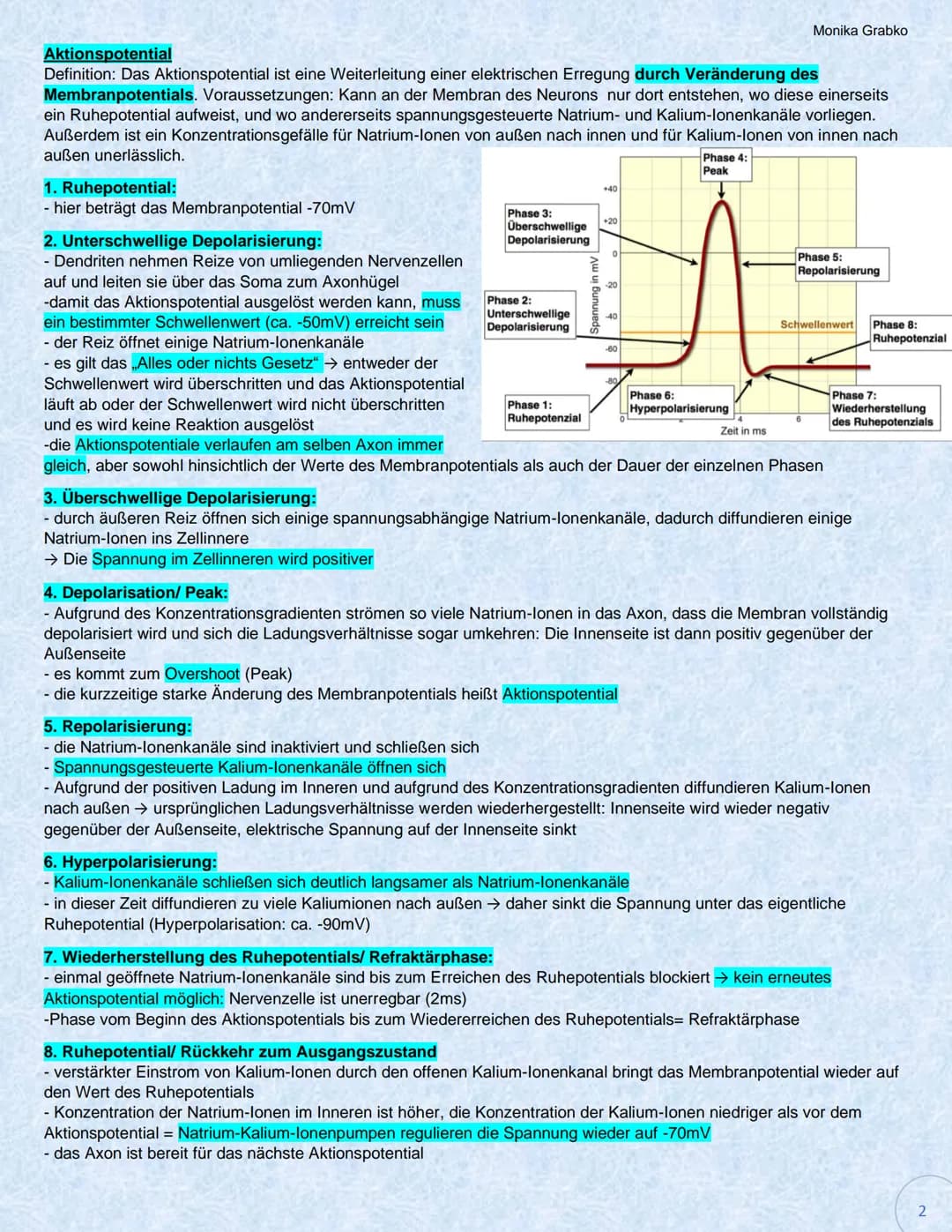 Erregungsentstehung und Erregungsleitung im Neuron
Ruhepotential
Definition: Membranpotential, dass man im Ruhezustand einer Nervenzelle mes