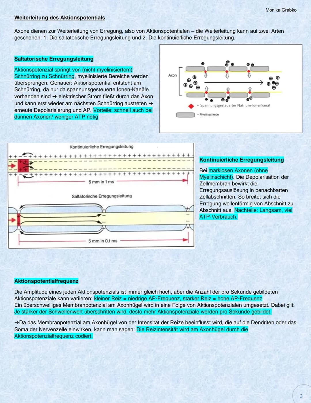 Erregungsentstehung und Erregungsleitung im Neuron
Ruhepotential
Definition: Membranpotential, dass man im Ruhezustand einer Nervenzelle mes