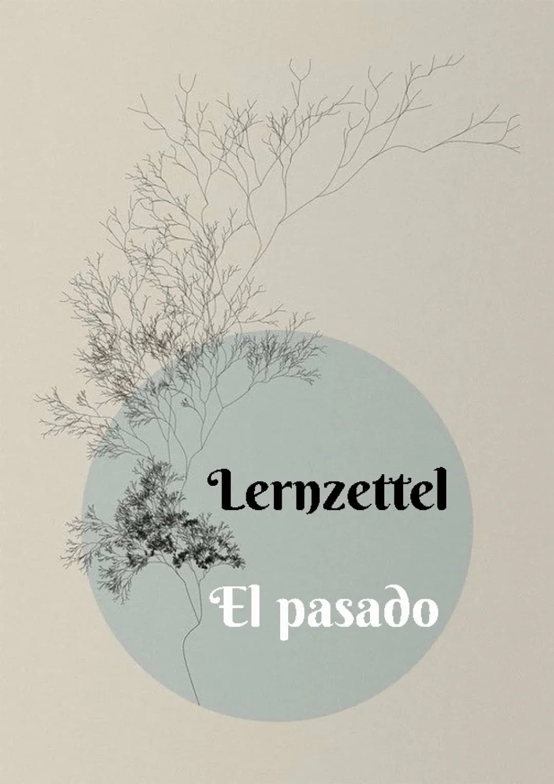 El pasado - Imperfecto / indefinido 