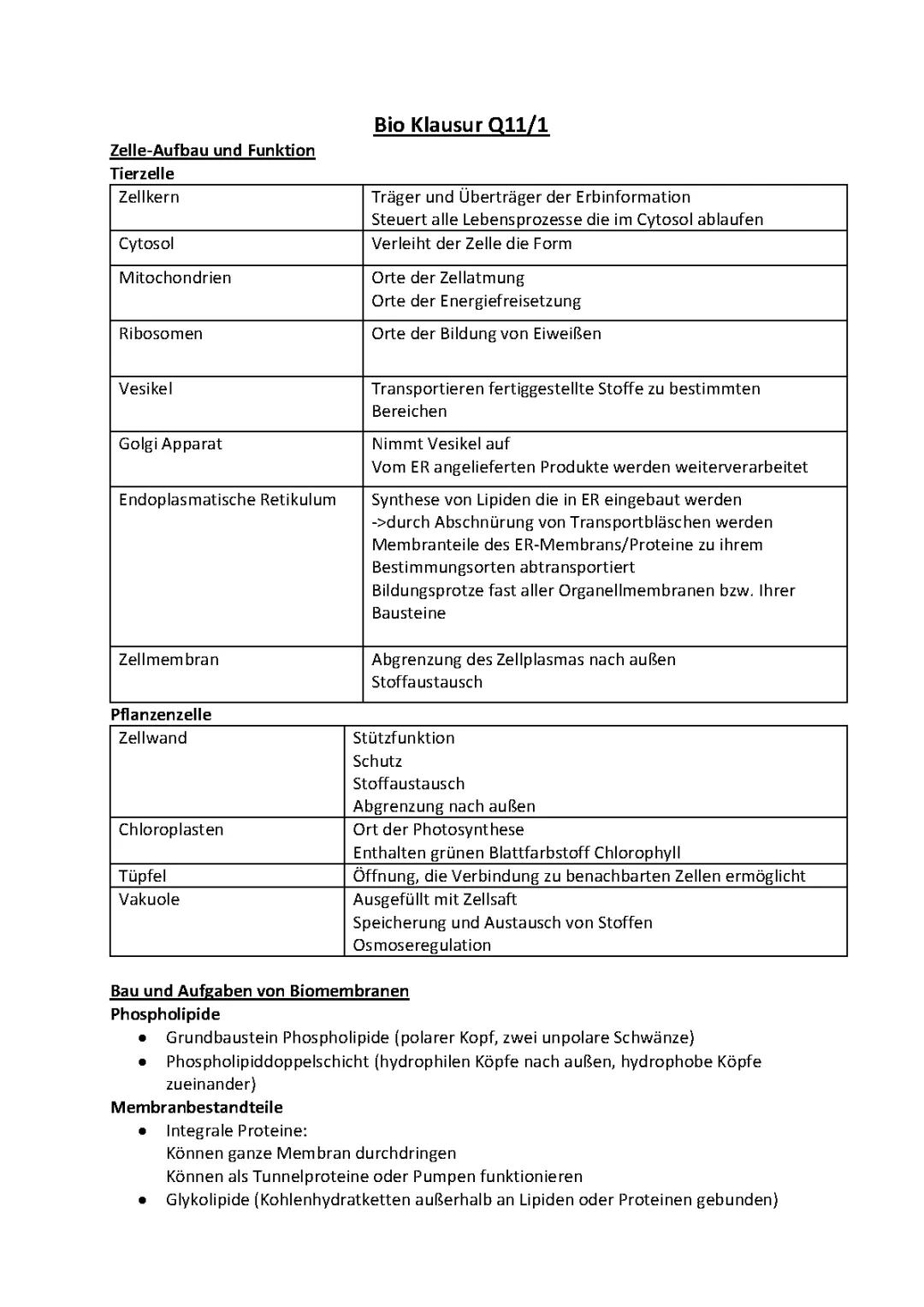 Biologie Klausur Q11/1: Lernzettel zu Zellaufbau, Biomembranen und Enzymen