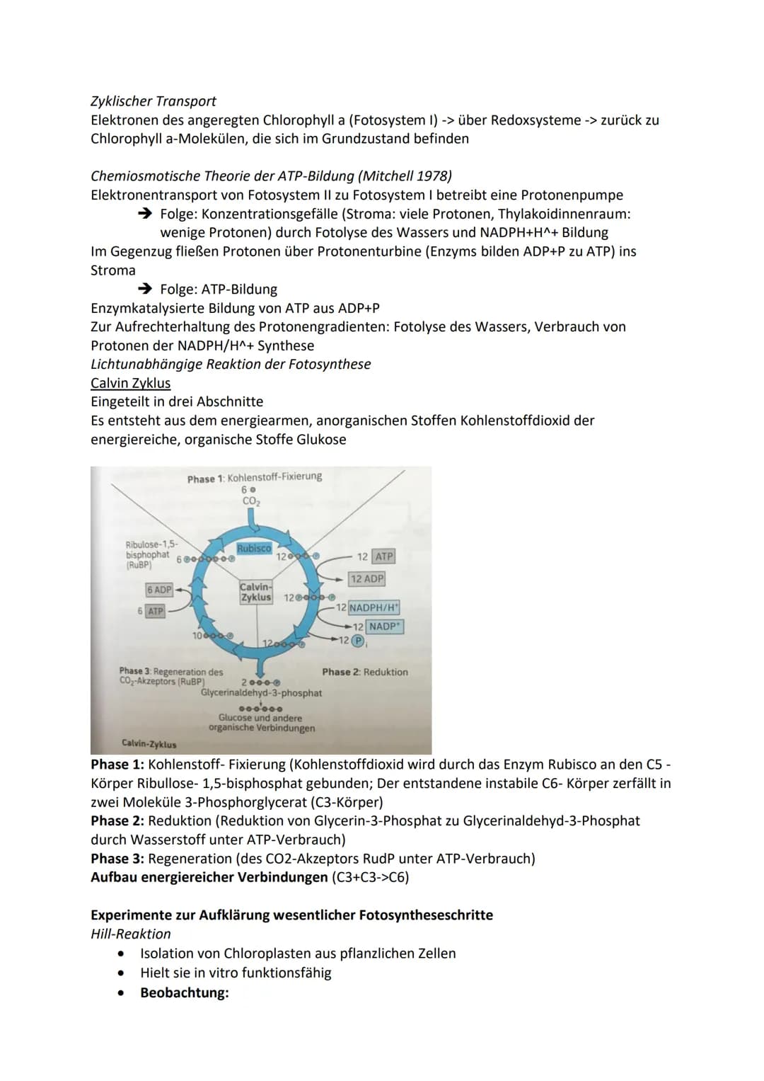 Zelle-Aufbau und Funktion
Tierzelle
Zellkern
Cytosol
Mitochondrien
Ribosomen
Vesikel
Golgi Apparat
Endoplasmatische Retikulum
Zellmembran
Pf