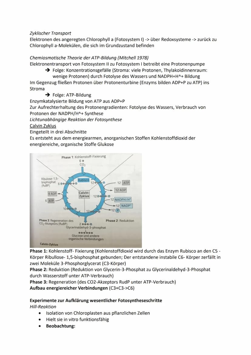 Zelle-Aufbau und Funktion
Tierzelle
Zellkern
Cytosol
Mitochondrien
Ribosomen
Vesikel
Golgi Apparat
Endoplasmatische Retikulum
Zellmembran
Pf