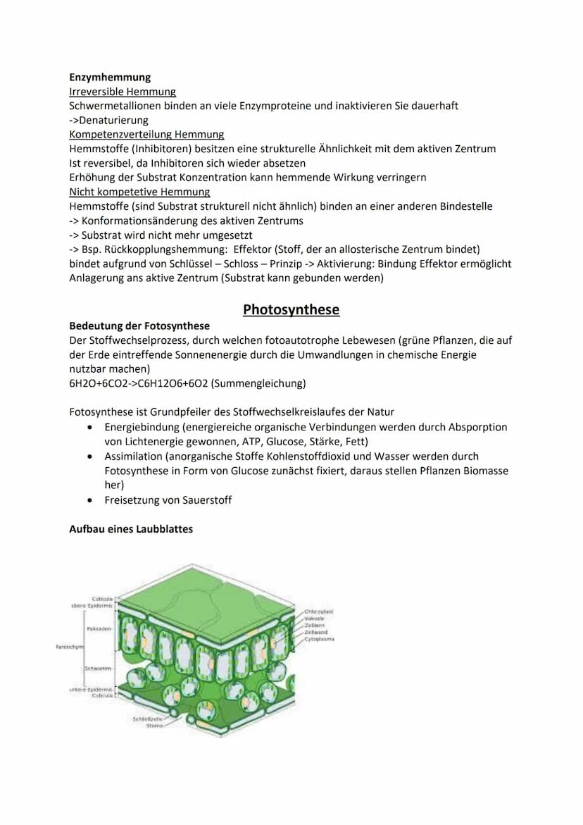 Zelle-Aufbau und Funktion
Tierzelle
Zellkern
Cytosol
Mitochondrien
Ribosomen
Vesikel
Golgi Apparat
Endoplasmatische Retikulum
Zellmembran
Pf