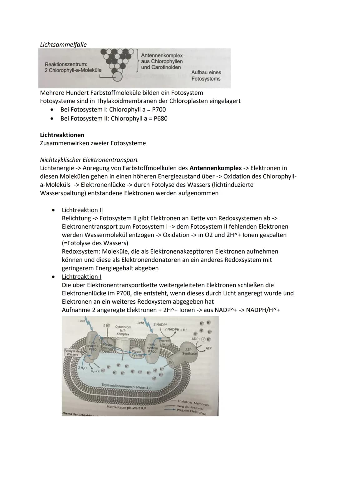 Zelle-Aufbau und Funktion
Tierzelle
Zellkern
Cytosol
Mitochondrien
Ribosomen
Vesikel
Golgi Apparat
Endoplasmatische Retikulum
Zellmembran
Pf