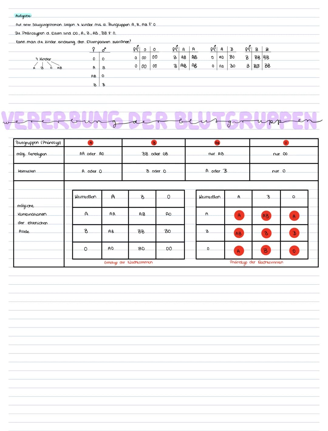 Blutserum
Zusammensetzung Funktion
Fiorinogen
56%. Blutplasma
•44%. Blutzellen.
Erythozyten
leukozyten
Thrombozyten Blutgerinnung
Flüssiger 