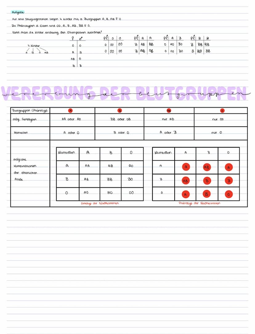 Blutserum
Zusammensetzung Funktion
Fiorinogen
56%. Blutplasma
•44%. Blutzellen.
Erythozyten
leukozyten
Thrombozyten Blutgerinnung
Flüssiger 