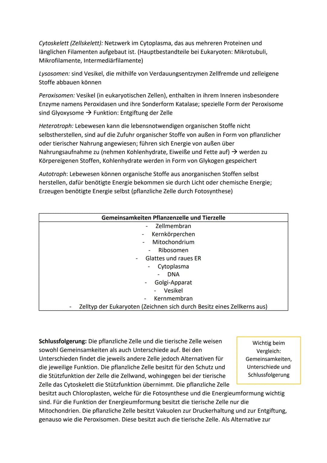 1. Zellen, Gewebe, Organe und ihre funktionsbezogene
Differenzierung
1.1. Alle Lebewesen bestehen aus Zellen
Erwachsener Menschlicher Körper