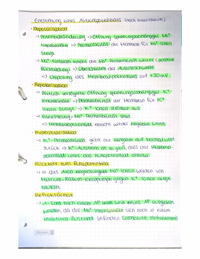 NEUROBIOLOGIE
A) Bau und Funktion der Nervenzelle.
Nervenzeuen (Neuronen) empfangen elektrische Signale,
verarbeiten Sie, leiten sie als Err