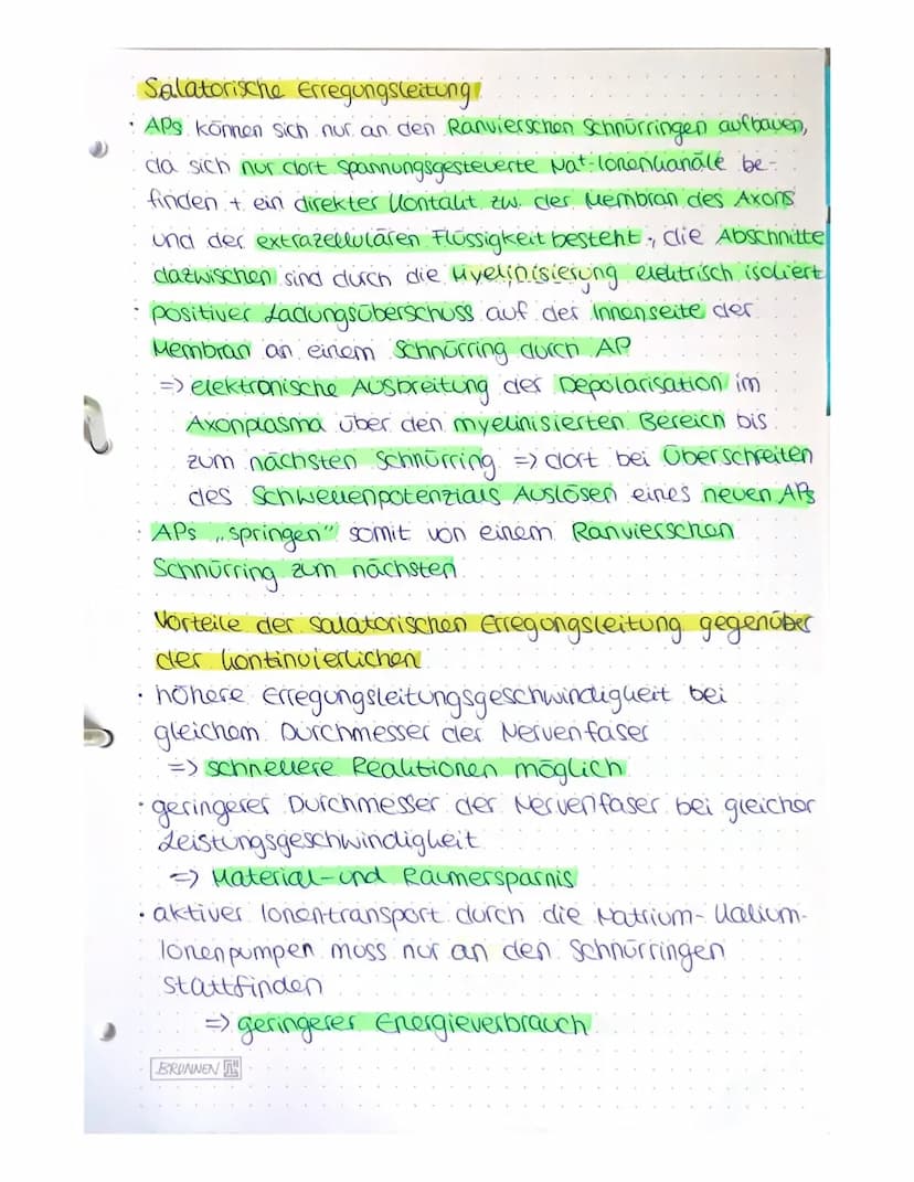 NEUROBIOLOGIE
A) Bau und Funktion der Nervenzelle.
Nervenzeuen (Neuronen) empfangen elektrische Signale,
verarbeiten Sie, leiten sie als Err