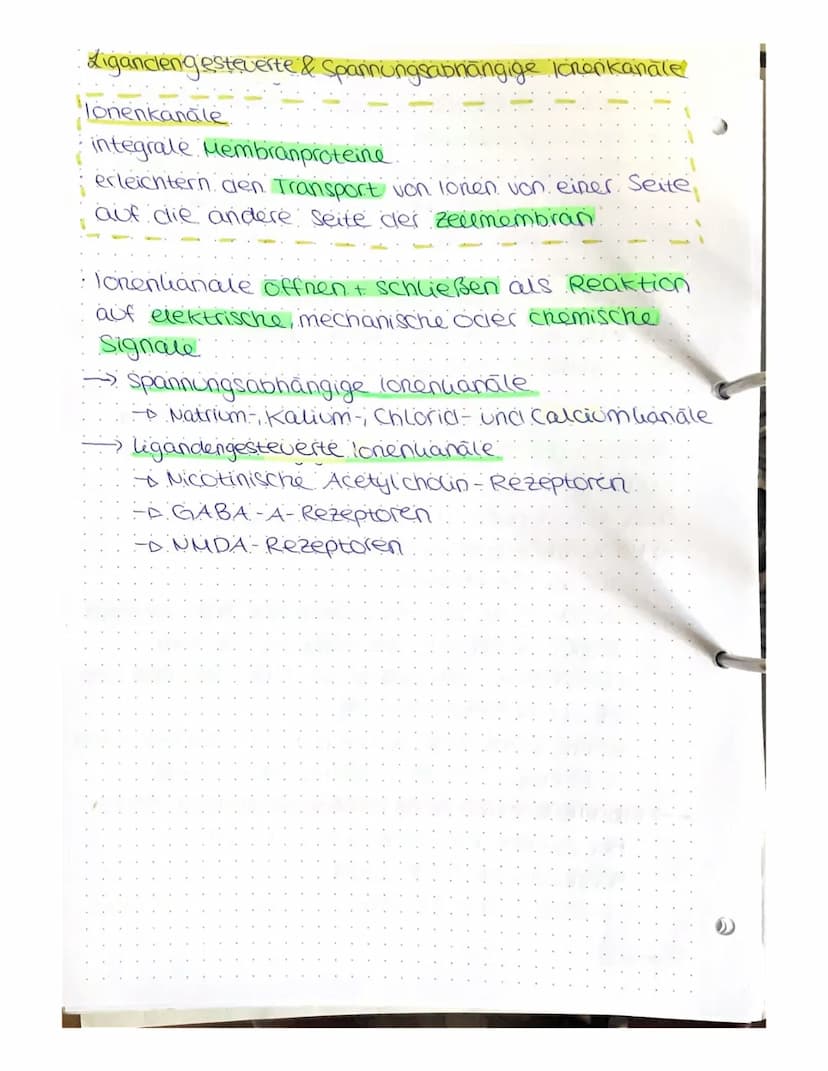 NEUROBIOLOGIE
A) Bau und Funktion der Nervenzelle.
Nervenzeuen (Neuronen) empfangen elektrische Signale,
verarbeiten Sie, leiten sie als Err
