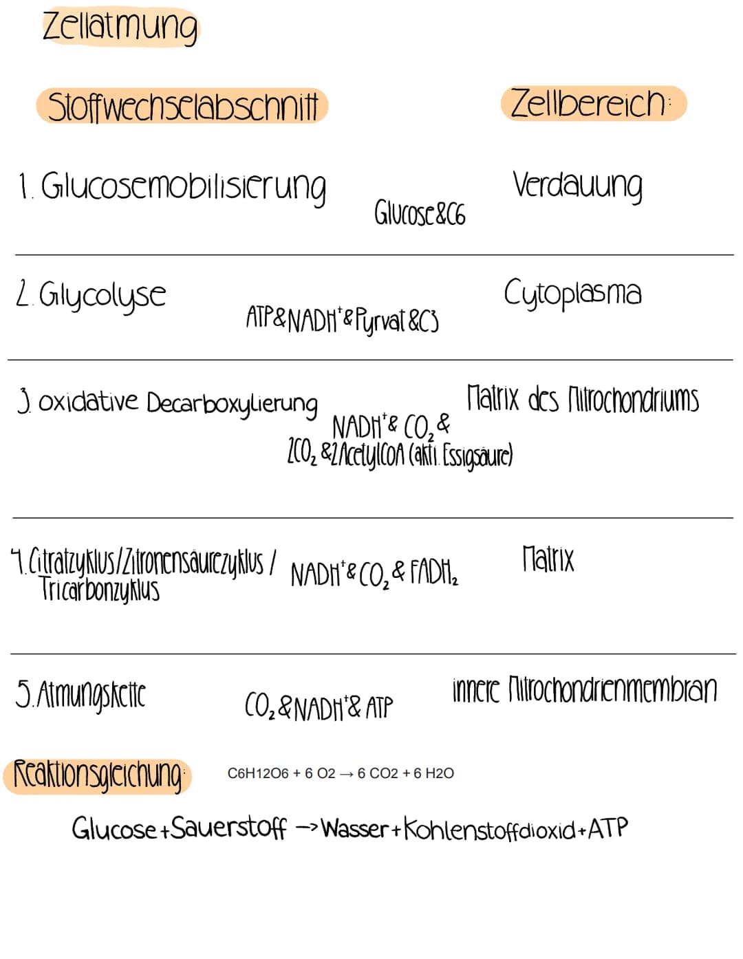 Zellatmung
Stoffwechselabschnitt
1. Glucosemobilisierung
2. Glycolyse
Joxidative Decarboxylierung
ATP&NADH*& Pyrvat &C3
1. Citratzyklus/Zitr