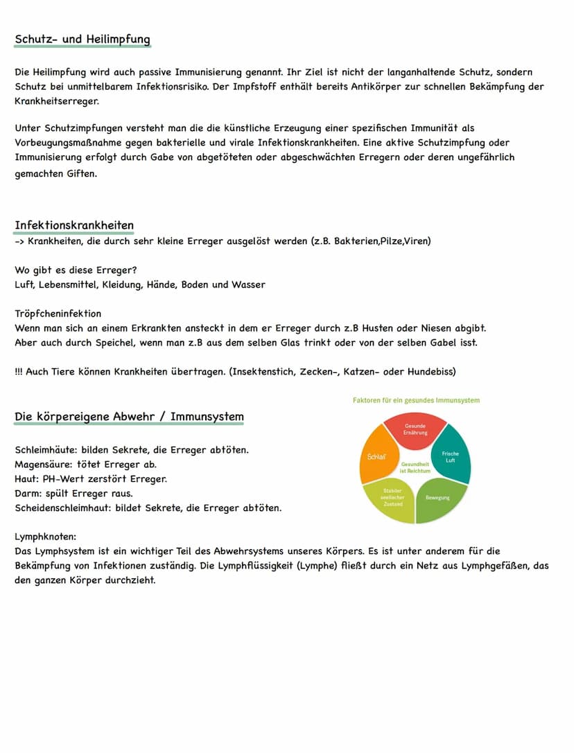 BIOLOGIE
Viren und Bakterien
Bakterien
GESUNDHEIT UND INFEKTIONSKRANKHEITEN
->kernlose Einzeller
Bakterien können uns einerseits krank mache