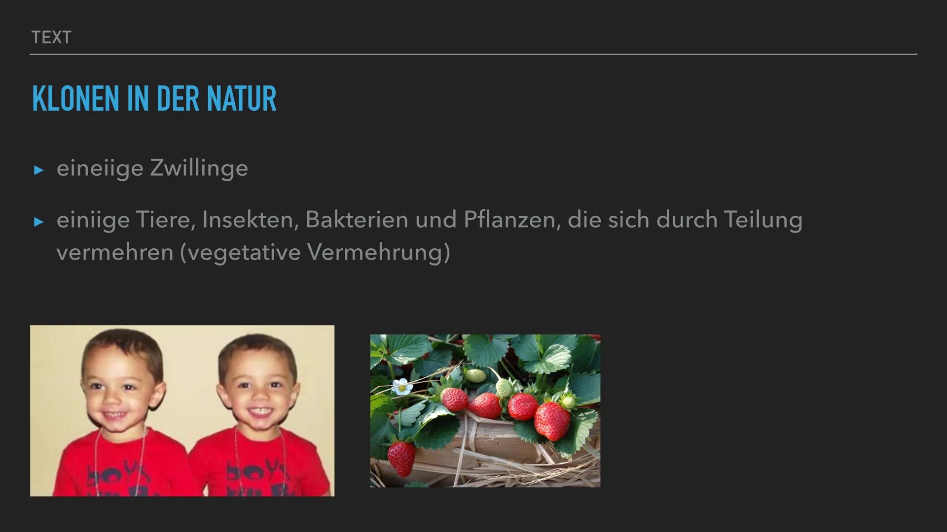 KLONEN
Handout Emelie Lenhartz VON EMELIE
KLONEN Inhaltsverzeichnis
1. Definition
2. Geschichte
3. Klonen in der Natur
4. Reproduktives Klon