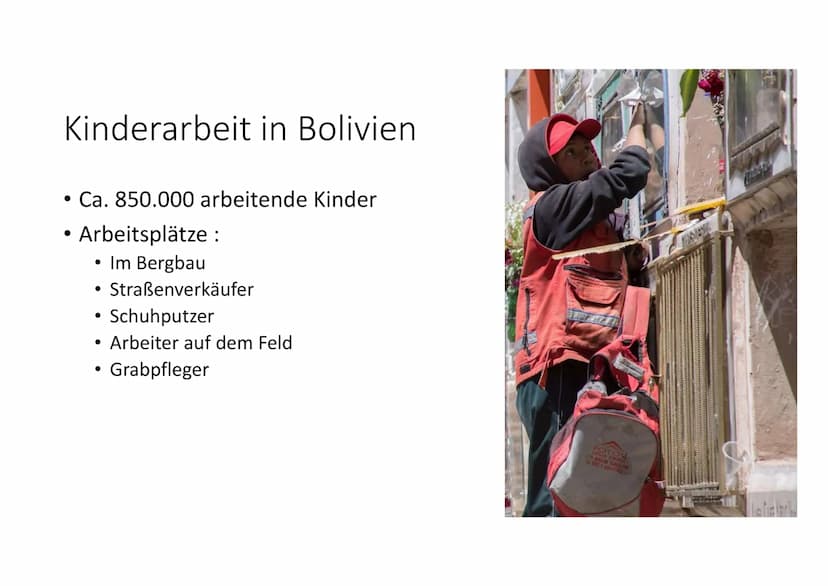 Bolivien will aus der Schmuddelecke – und
legalisiert Kinderarbeit"
99.
Welt - 06.07.2014
,,Neues Gesetz zur Kinderarbeit in Bolivien :
Wenn