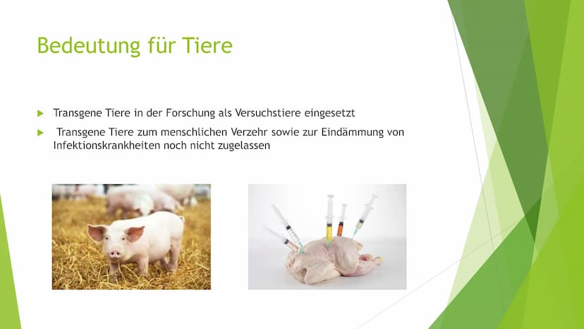 se
GENFOOD
Gentechnik
In der Landwirtschaft und in unseren Lebensmitteln Gliederung
Was ist Gentechnik?
Bedeutung für Naturpflanzen
Bedeutun