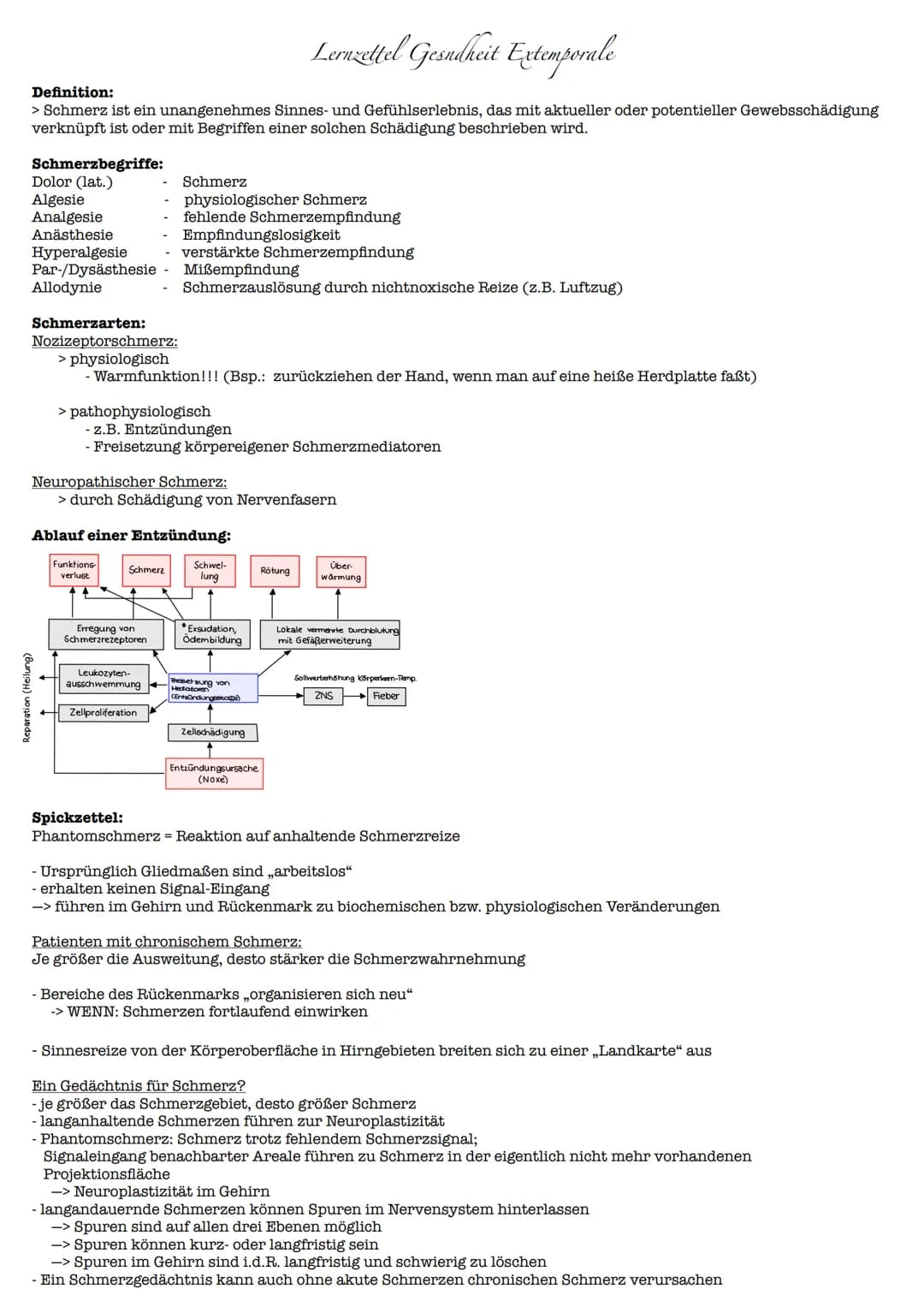 Lernzettel Gesndheit Extemporale
Definition:
> Schmerz ist ein unangenehmes Sinnes- und Gefühlserlebnis, das mit aktueller oder potentieller