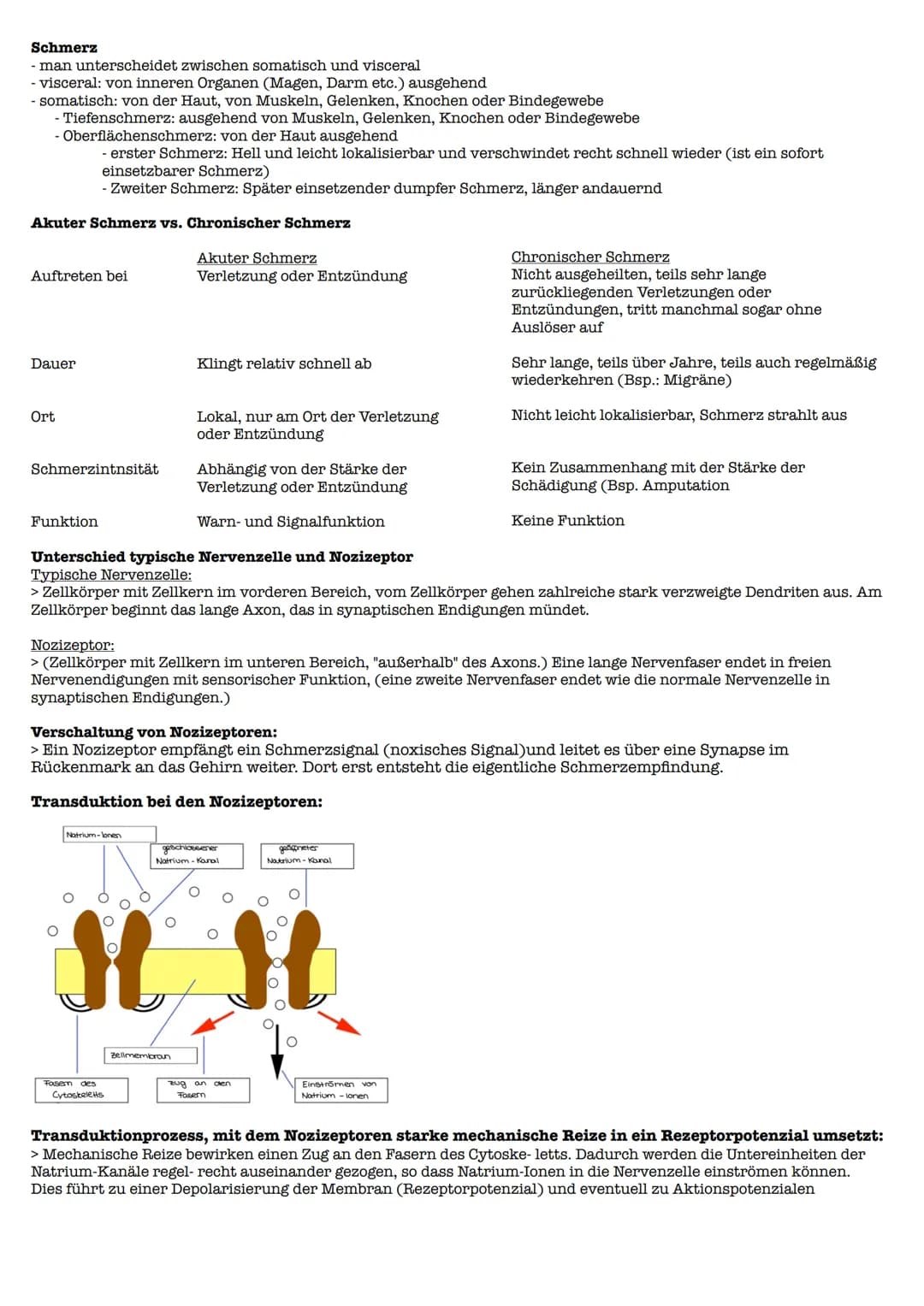 Lernzettel Gesndheit Extemporale
Definition:
> Schmerz ist ein unangenehmes Sinnes- und Gefühlserlebnis, das mit aktueller oder potentieller