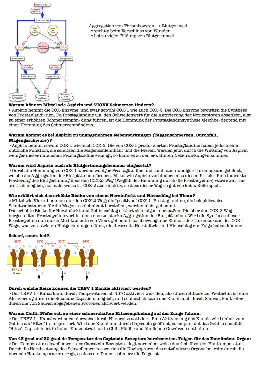 Lernzettel Gesndheit Extemporale
Definition:
> Schmerz ist ein unangenehmes Sinnes- und Gefühlserlebnis, das mit aktueller oder potentieller