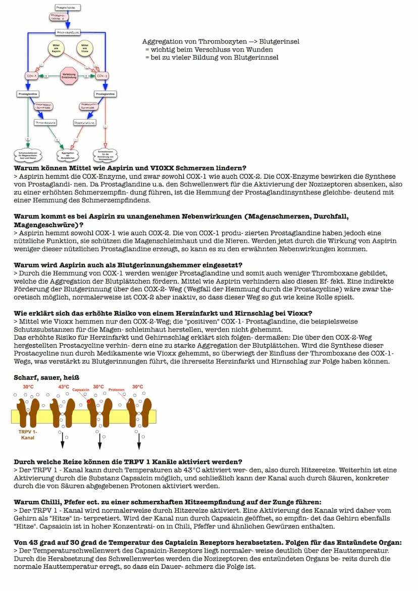 Lernzettel Gesndheit Extemporale
Definition:
> Schmerz ist ein unangenehmes Sinnes- und Gefühlserlebnis, das mit aktueller oder potentieller