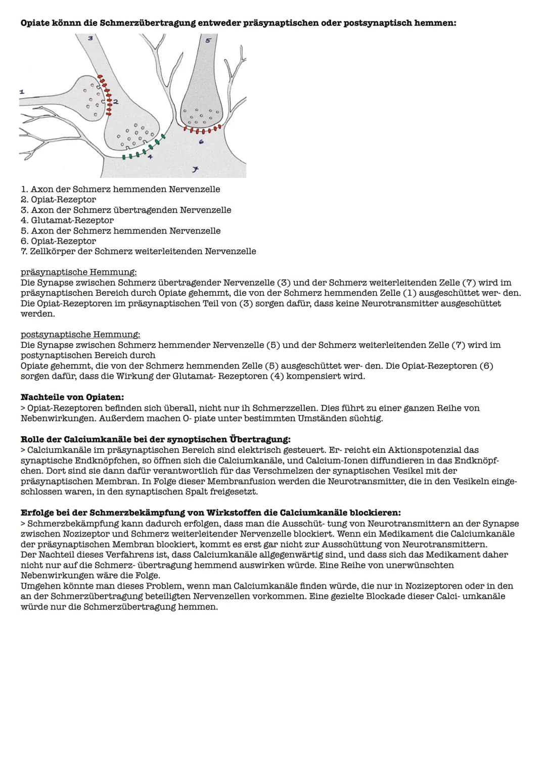 Lernzettel Gesndheit Extemporale
Definition:
> Schmerz ist ein unangenehmes Sinnes- und Gefühlserlebnis, das mit aktueller oder potentieller