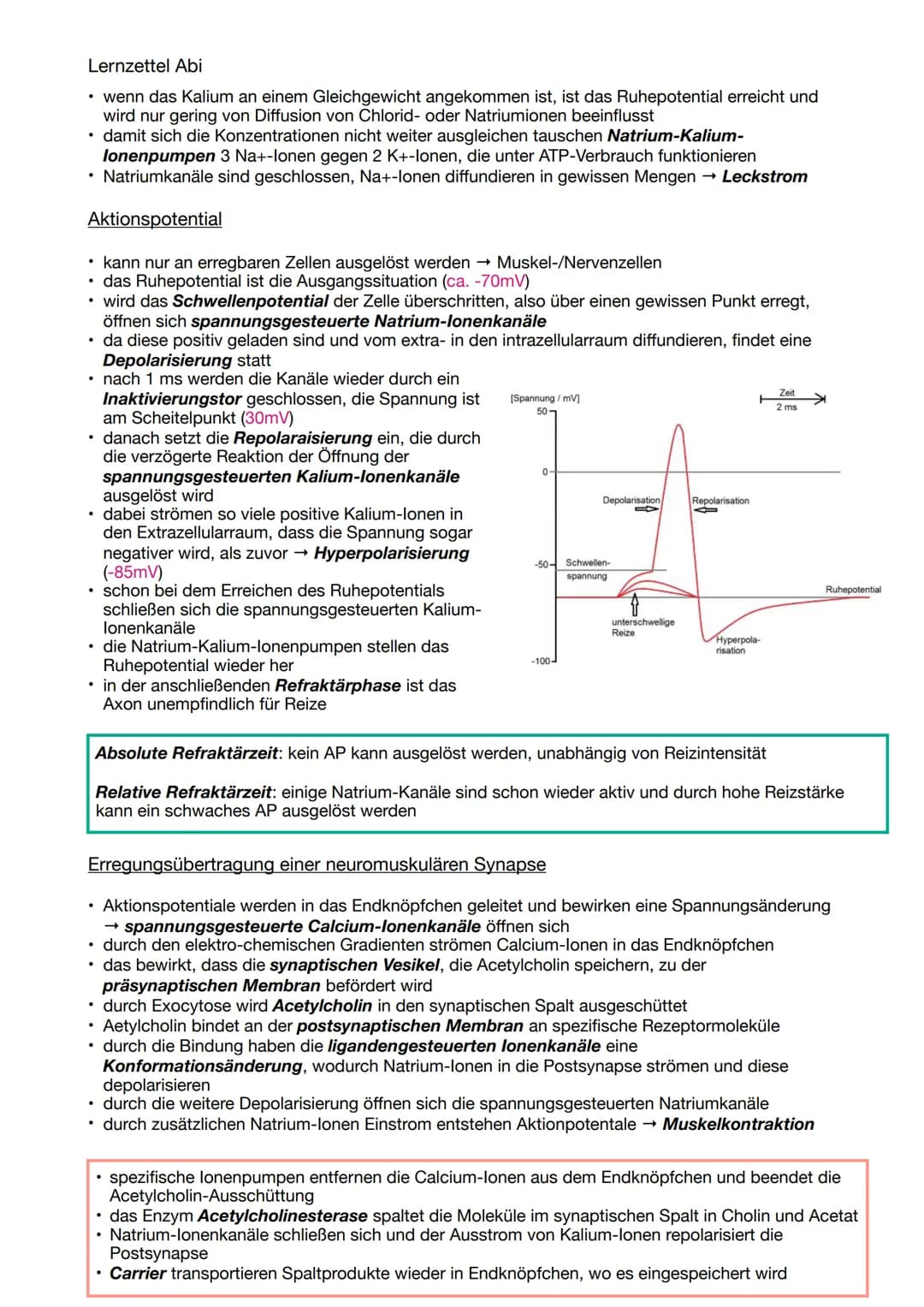 Lernzettel Abi
NEUROBIOLOGIE
Aufbau und Funktion von Neuronen
Aufbau & Funktion eines Neurons
• ein Astrocyt ist sternförmig und besitzt ein