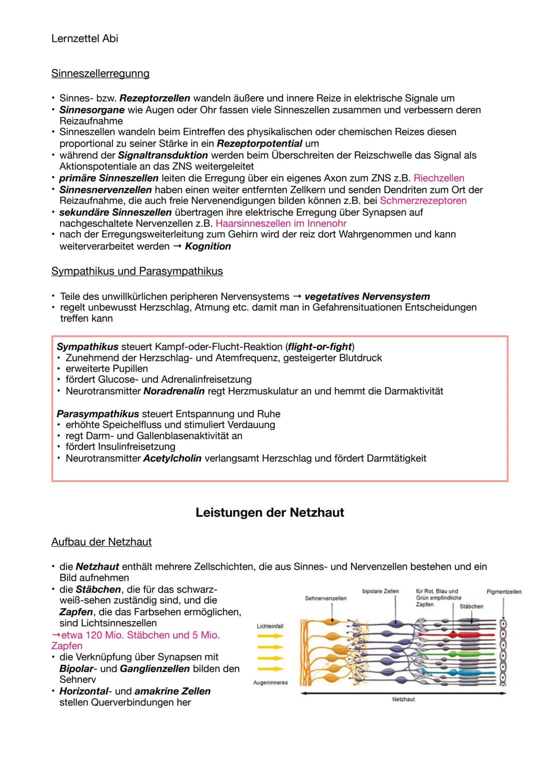 Lernzettel Abi
NEUROBIOLOGIE
Aufbau und Funktion von Neuronen
Aufbau & Funktion eines Neurons
• ein Astrocyt ist sternförmig und besitzt ein