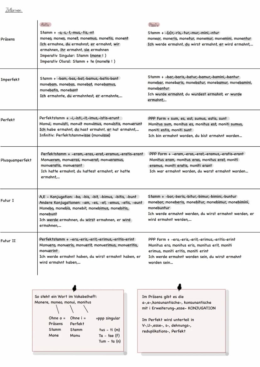 Latein Grammatik
Deklinationen
A/O-Deklination
Maskulinum
Nominativ
Genitiv
Dativ
Akkusativ
Ablativ
Vokativ
Femininum
Nominativ
Genitiv
Dati