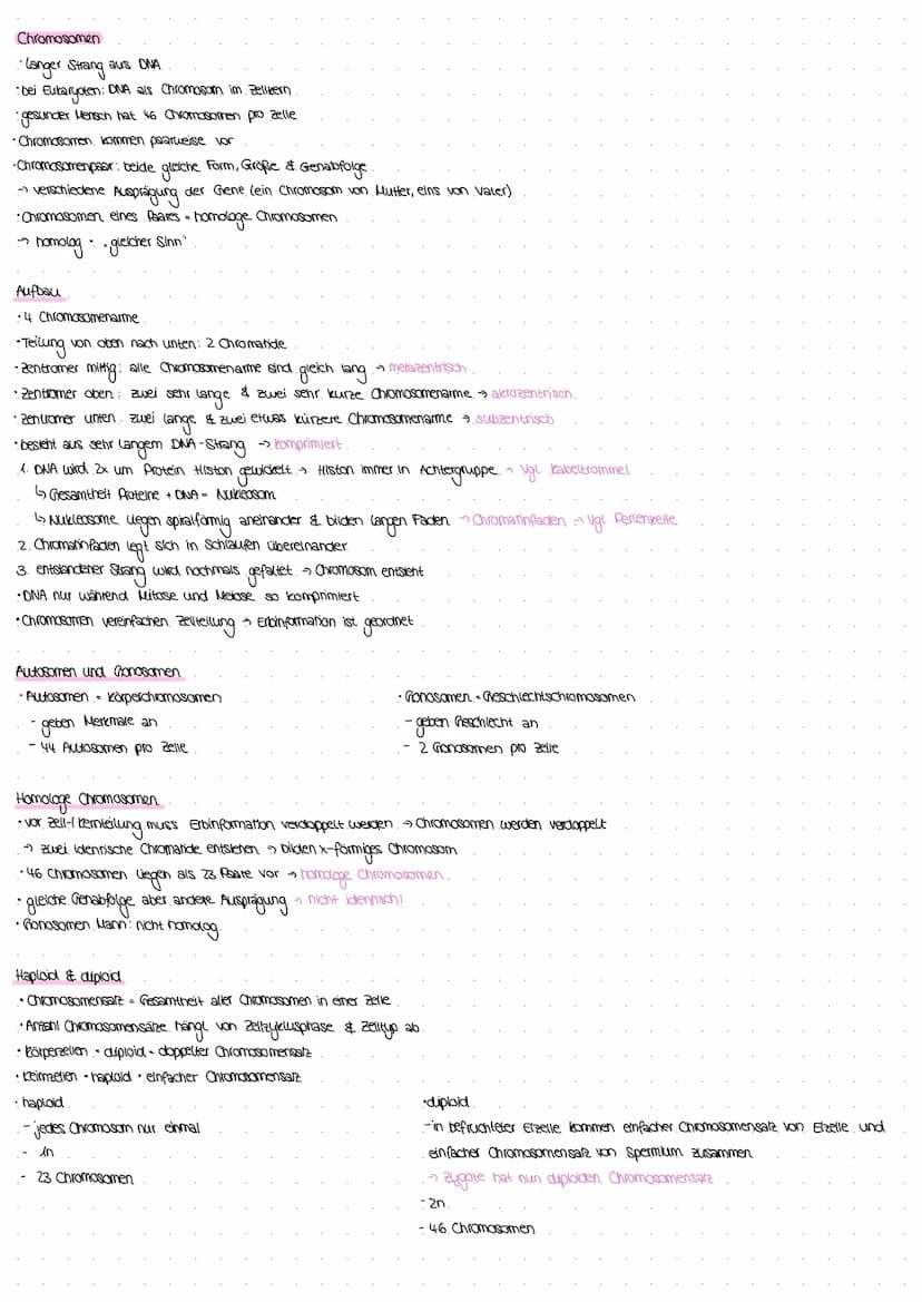 Chromosomen
→ sie tragen die Erbinformation: DNA (Desoxyribonukleinsäure) -" bestehen aus DNA.
→ Mensch: 23 Chromosomenpaare, 46 Chromosomen
