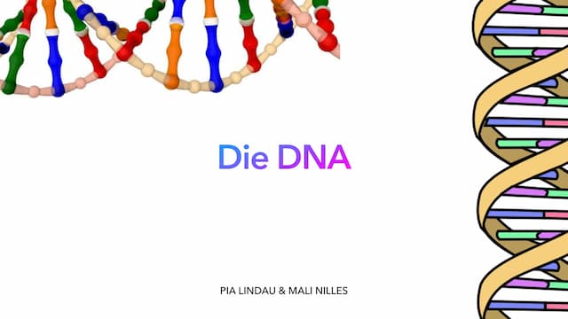 Know DNA Präsentation  thumbnail