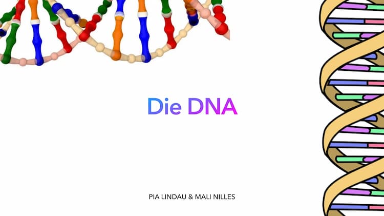Know DNA Präsentation  thumbnail