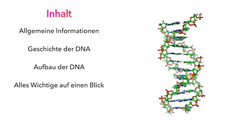 Die DNA
PIA LINDAU & MALI NILLES
HE Inhalt
Allgemeine Informationen
Geschichte der DNA
Aufbau der DNA
Alles Wichtige auf einen Blick Allgeme