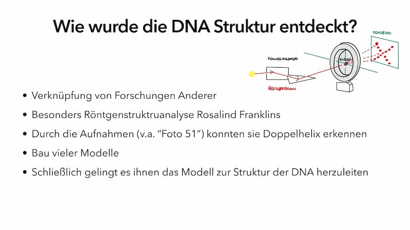 Die DNA
PIA LINDAU & MALI NILLES
HE Inhalt
Allgemeine Informationen
Geschichte der DNA
Aufbau der DNA
Alles Wichtige auf einen Blick Allgeme
