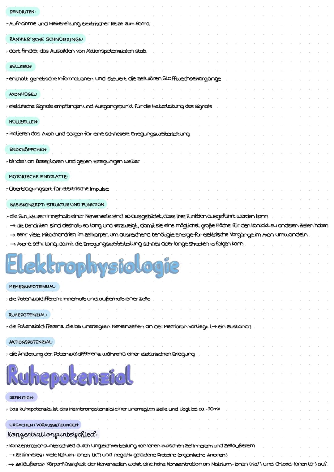 Reiz-Reaktions-Schema
Reiz
(Z.B. Licht)
Erregung im Sinnesorgan
peripheres Nervensystem (PNS)
Weiterleitung el. Erregungen
über sensorische 