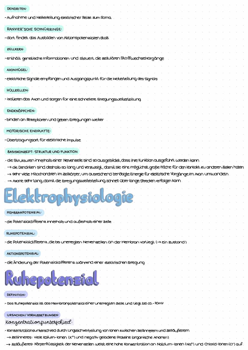 Reiz-Reaktions-Schema
Reiz
(Z.B. Licht)
Erregung im Sinnesorgan
peripheres Nervensystem (PNS)
Weiterleitung el. Erregungen
über sensorische 