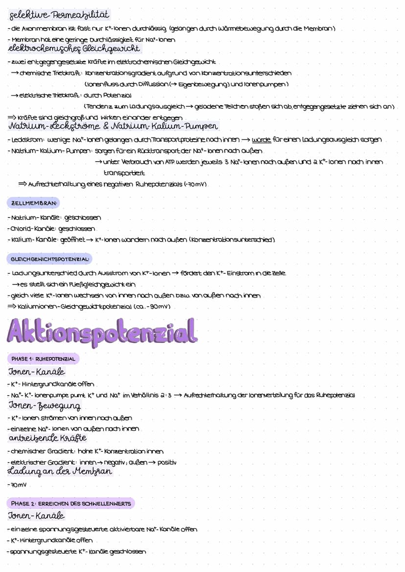 Reiz-Reaktions-Schema
Reiz
(Z.B. Licht)
Erregung im Sinnesorgan
peripheres Nervensystem (PNS)
Weiterleitung el. Erregungen
über sensorische 