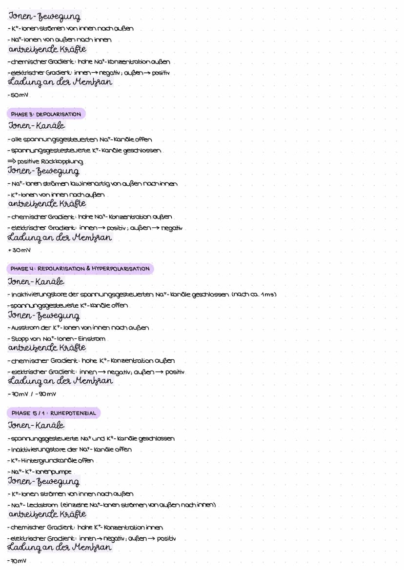 Reiz-Reaktions-Schema
Reiz
(Z.B. Licht)
Erregung im Sinnesorgan
peripheres Nervensystem (PNS)
Weiterleitung el. Erregungen
über sensorische 