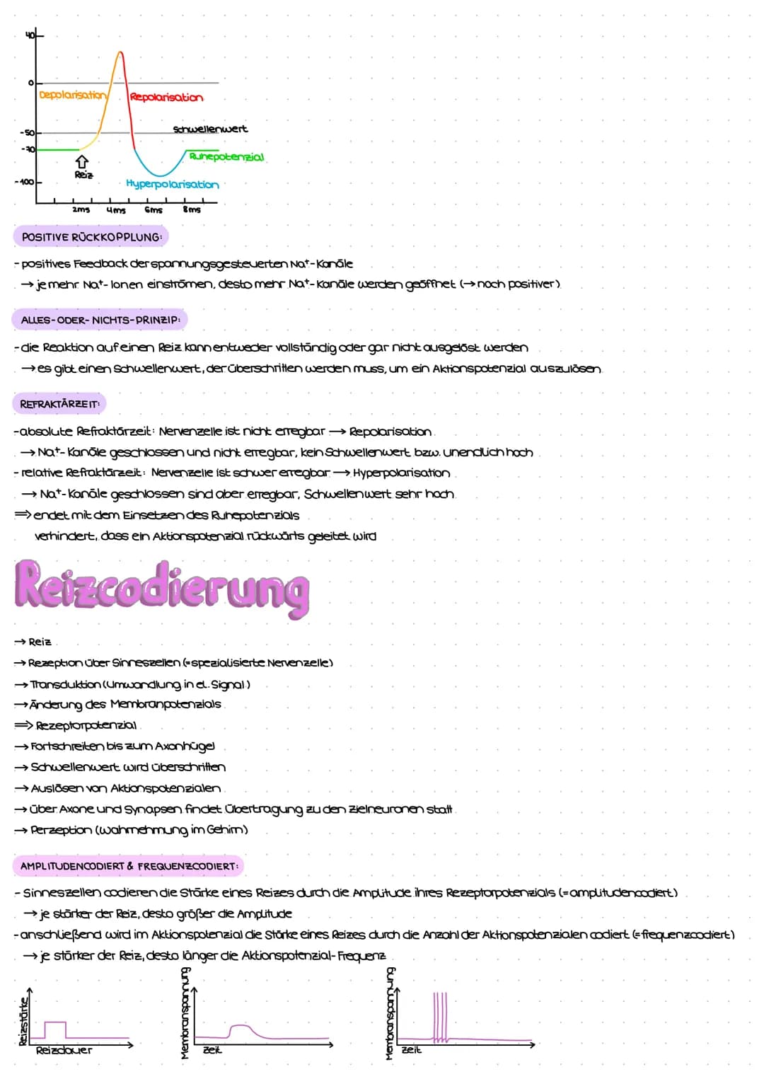 Reiz-Reaktions-Schema
Reiz
(Z.B. Licht)
Erregung im Sinnesorgan
peripheres Nervensystem (PNS)
Weiterleitung el. Erregungen
über sensorische 