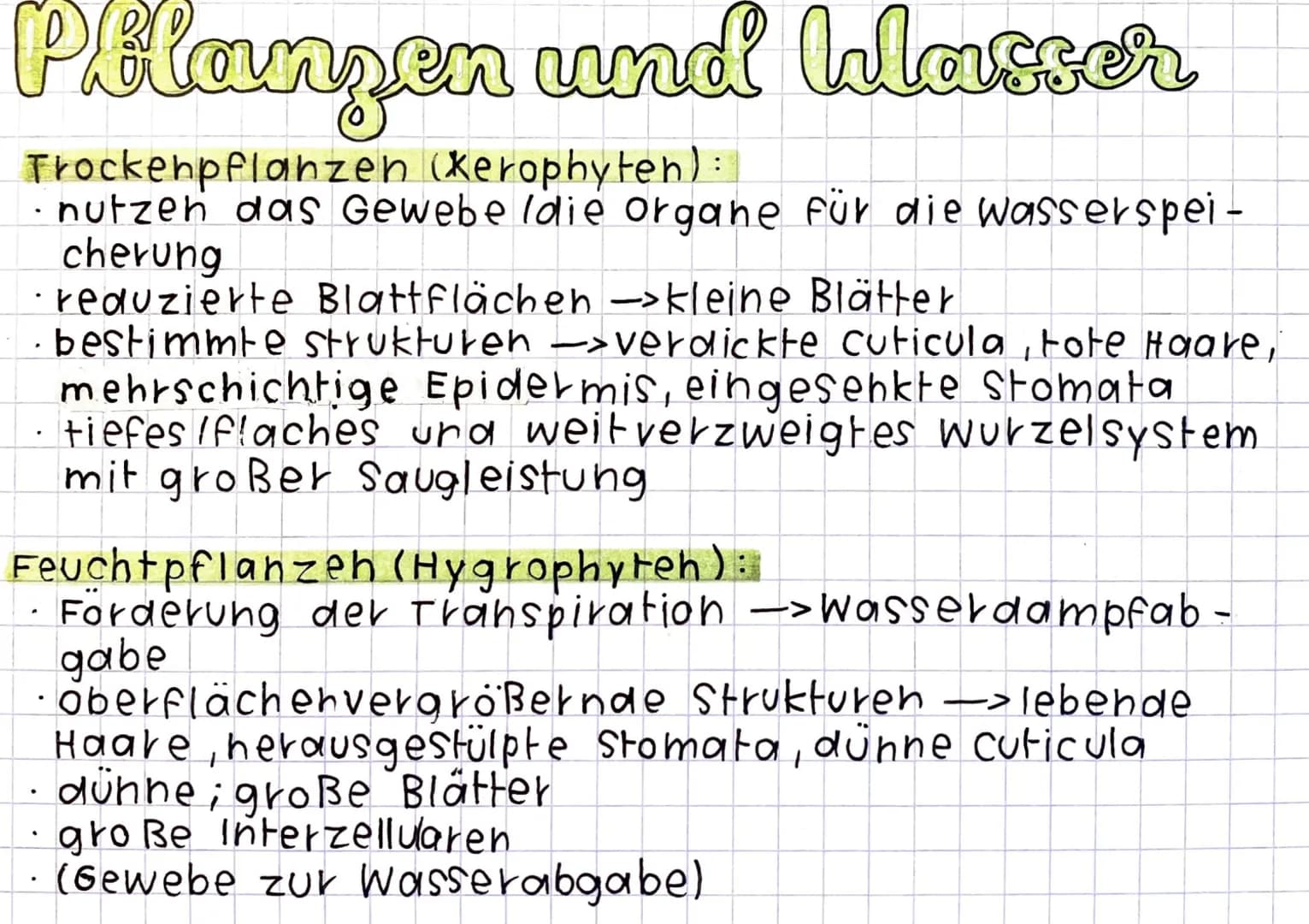 Homoitherme Tiere
Körpertemperatur wird unabhängig von der Umge-
bungstemperatur konstant gehalten = endotherm
Energie- und Nahrungsbedarf i