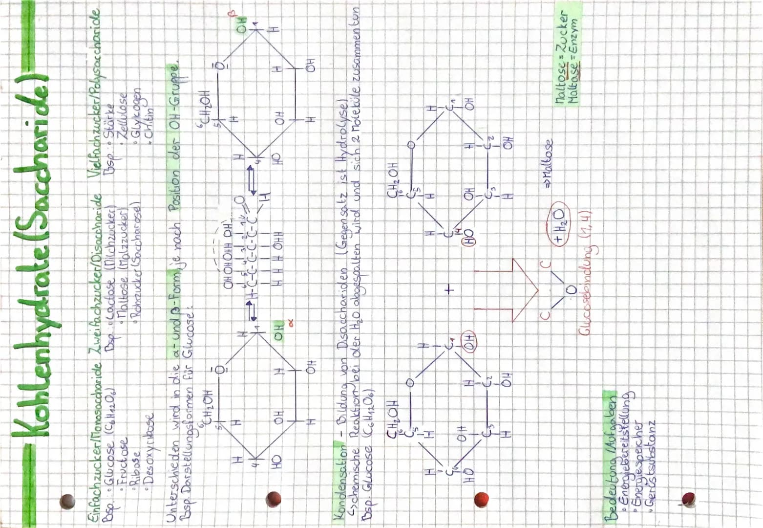 Einfachzucker/Monosaccharide Zweifachzucker/Disaccharide
Bsp • Glucose (C₂H1₂O6)
•Fructose
•Ribose
Desoxyribose
H
4.
Kohlenhydrate (Sacchari