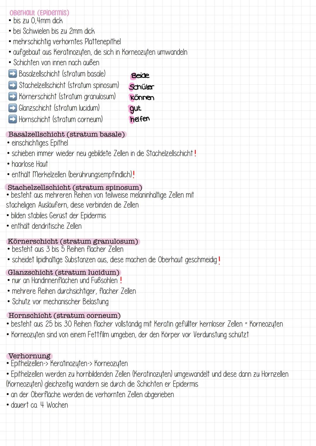 Haut- &
Körperpflege karyotyp
Autosomen
Gonosomen
Nekrose
Fibroblasten
Nozizeptoren
Sebum
Effloreszenzen
Naevi
Aszites
M. arrector pili
stra