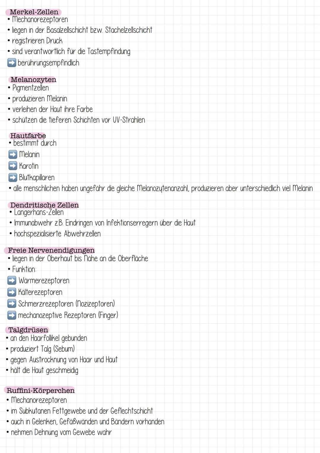 Haut- &
Körperpflege karyotyp
Autosomen
Gonosomen
Nekrose
Fibroblasten
Nozizeptoren
Sebum
Effloreszenzen
Naevi
Aszites
M. arrector pili
stra
