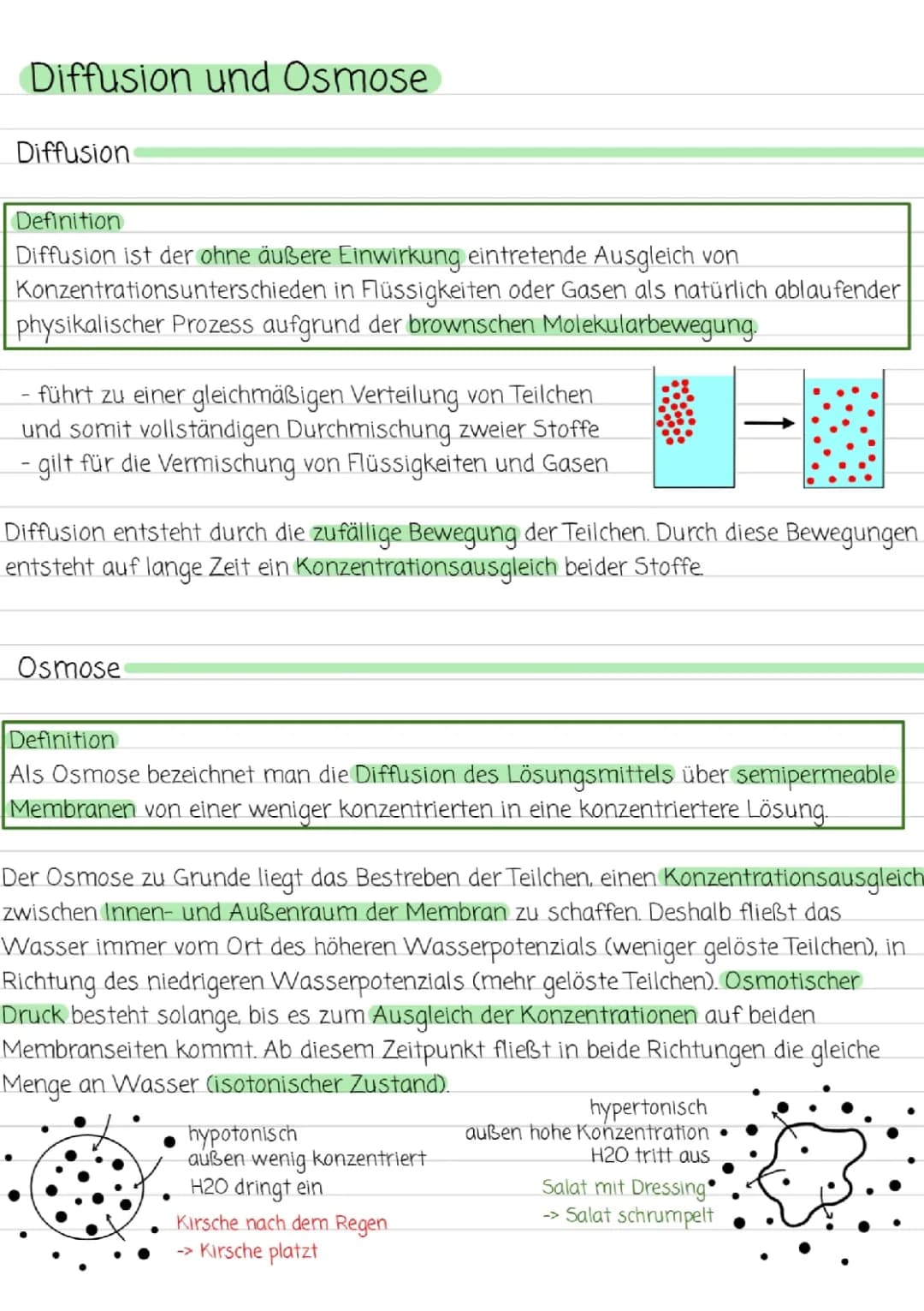 Diffusion und Osmose